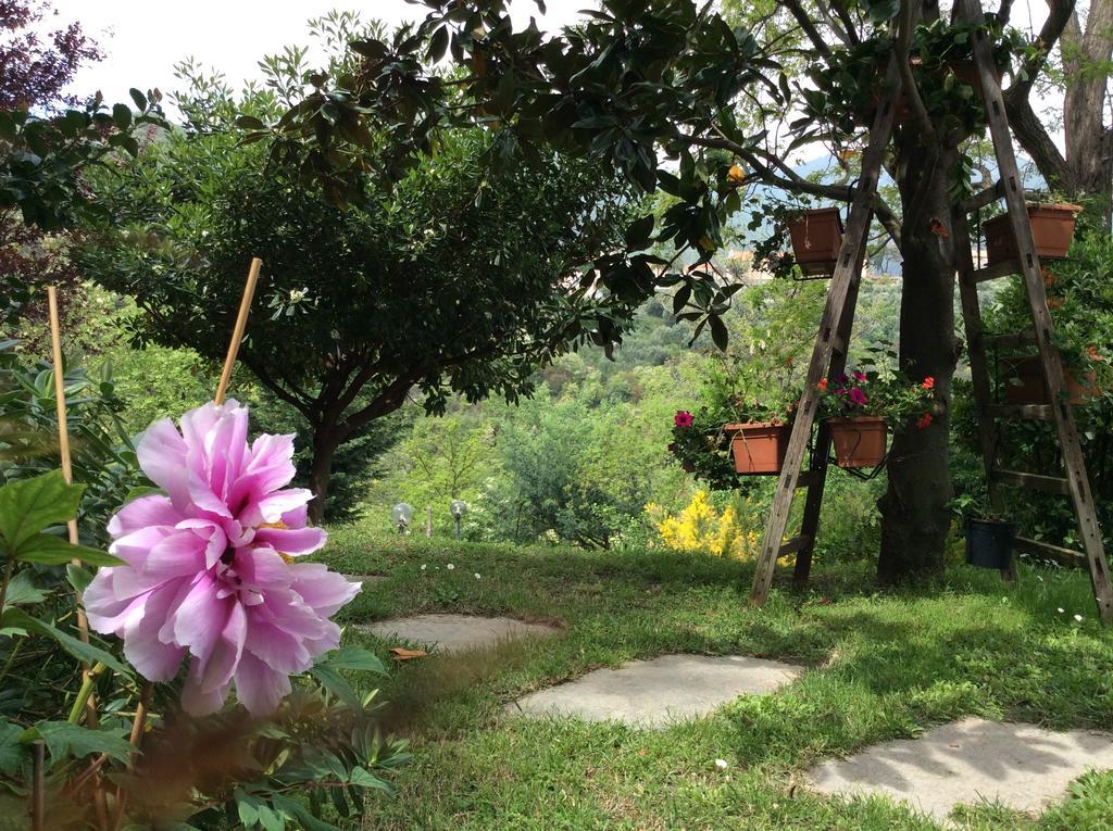 L'Acacia B&B Pietra Ligure Eksteriør bilde