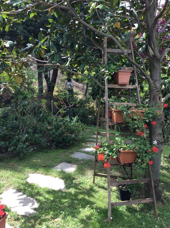 L'Acacia B&B Pietra Ligure Eksteriør bilde
